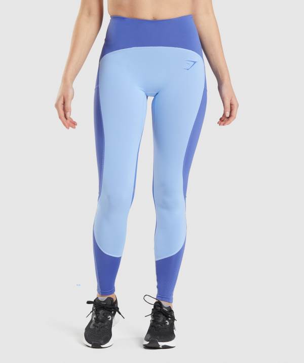 Damske Legíny Gymshark Pulse Mesh Modre Siva / Biele Modre | JM3629781
